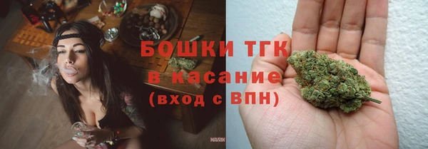 ALPHA-PVP Инсар