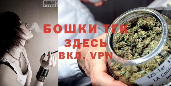 хмурый Инта