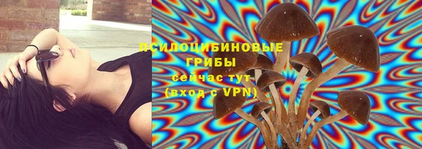 хмурый Инта