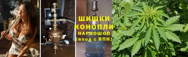хмурый Инта