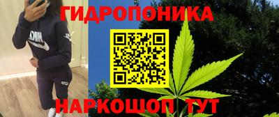 крисы Нягань