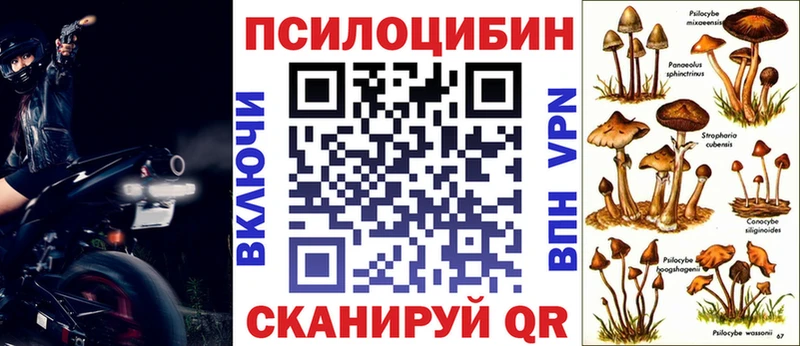blacksprut рабочий сайт  Мурманск  Галлюциногенные грибы MAGIC MUSHROOMS  как найти закладки 