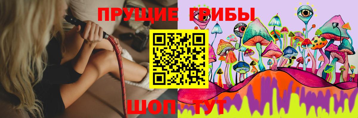 Галлюциногенные грибы Psilocybe Мурманск