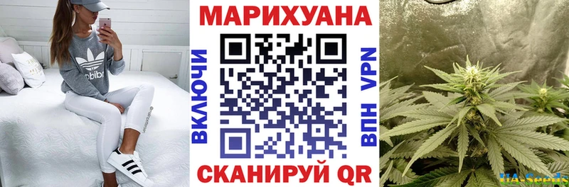 как найти Мурманск MEGA как войти мориарти как зайти Канабис Bruce Banner